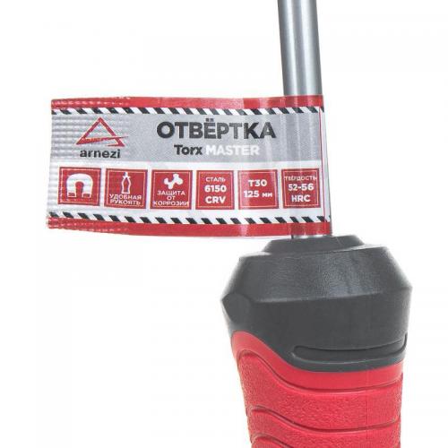 R2031030 Отвертка Master Torx T30x125