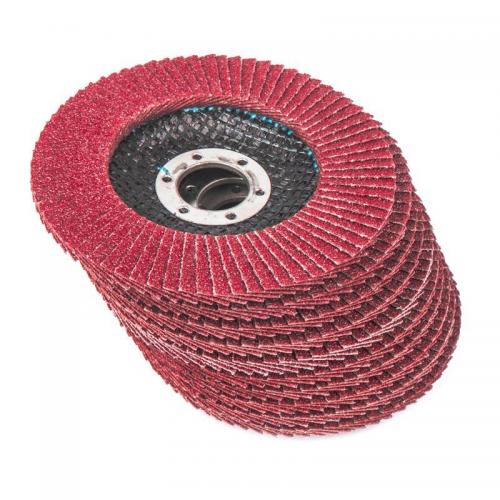 R8010303 Круг лепестковый торцевой 115x22 P60