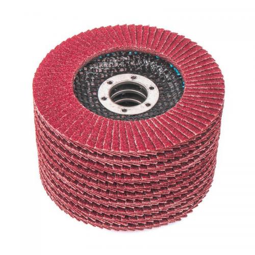 R8010304 Круг лепестковый торцевой 115x22 P80