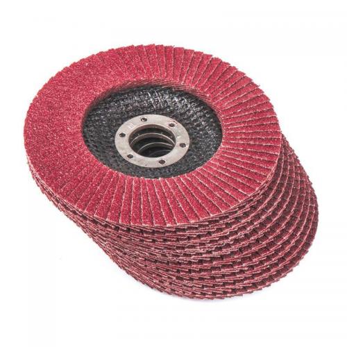 R8010313 Круг лепестковый торцевой 125x22 Р60